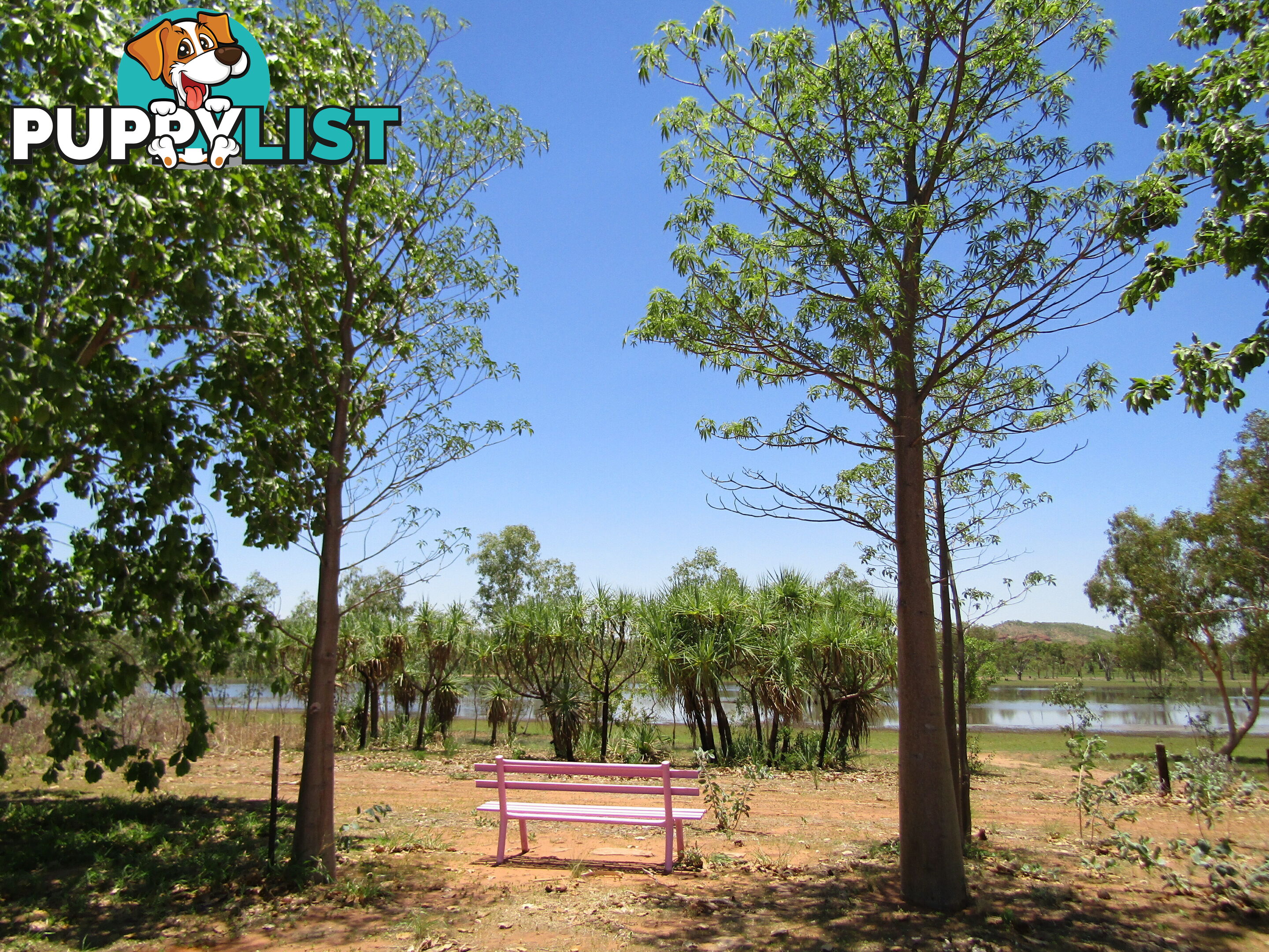 19 Cherubin Road Kununurra WA 6743