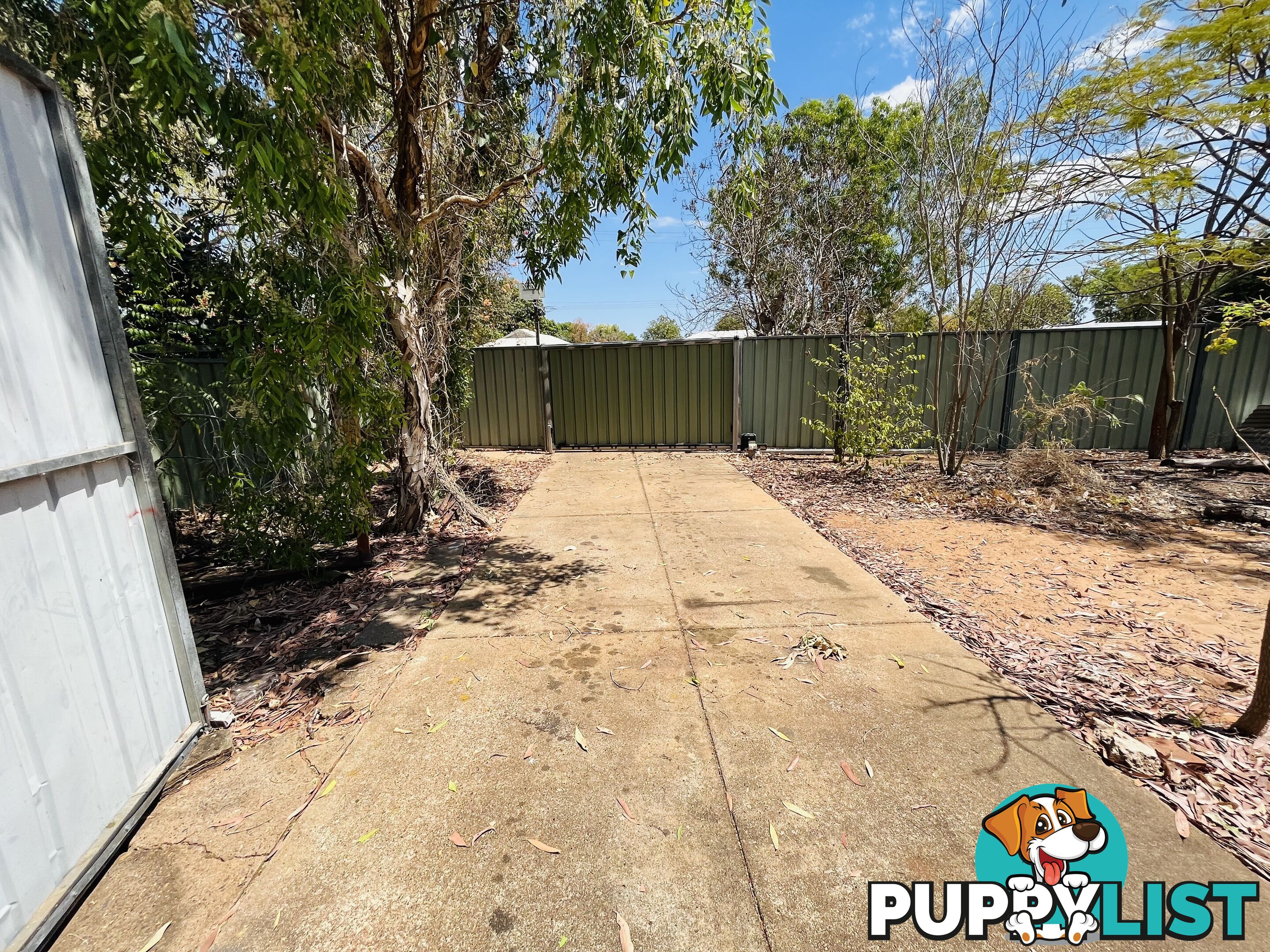 31 Nutwood Cres Kununurra WA 6743