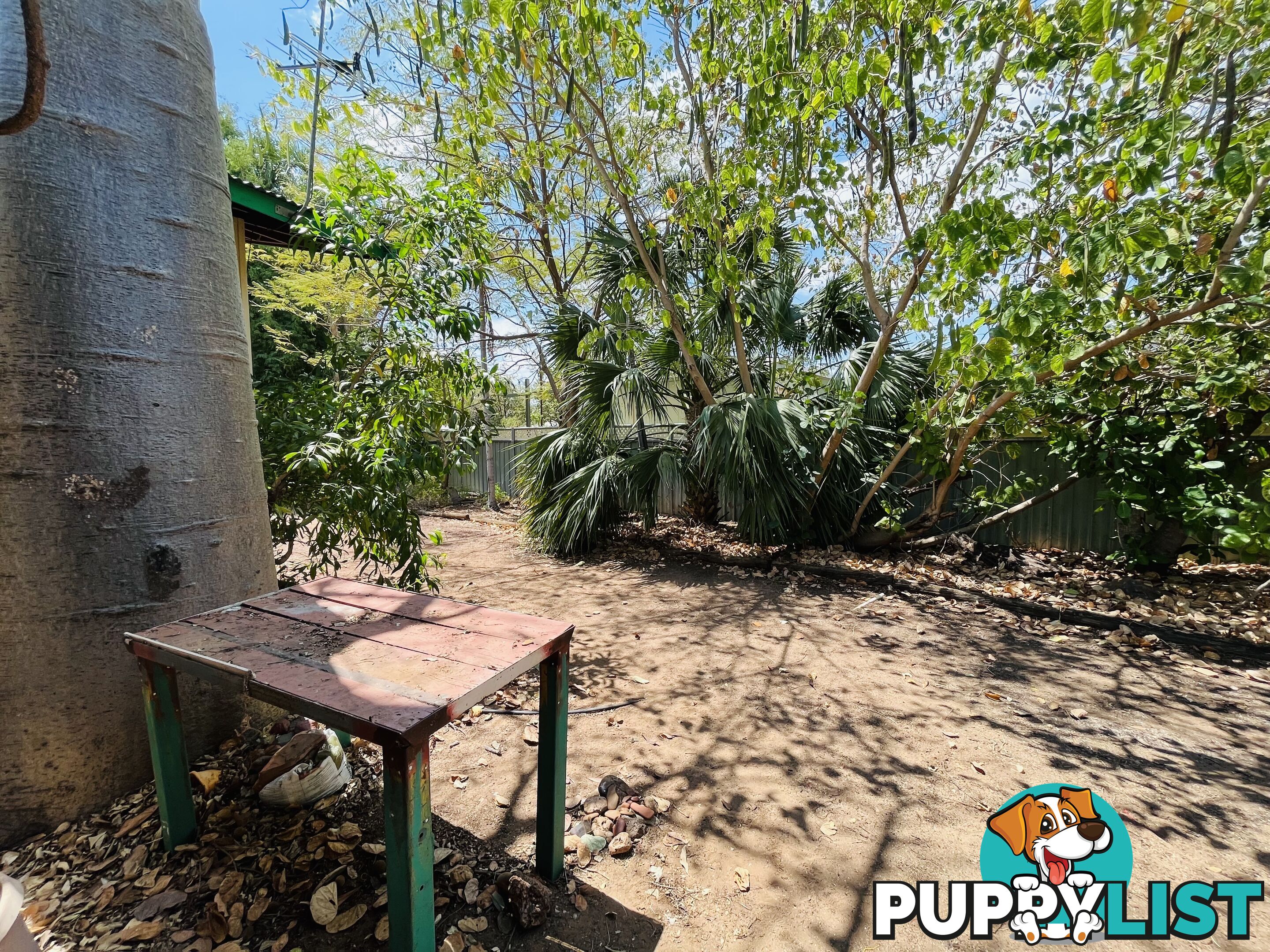 31 Nutwood Cres Kununurra WA 6743