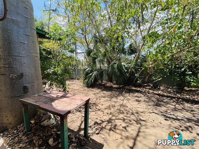 31 Nutwood Cres Kununurra WA 6743