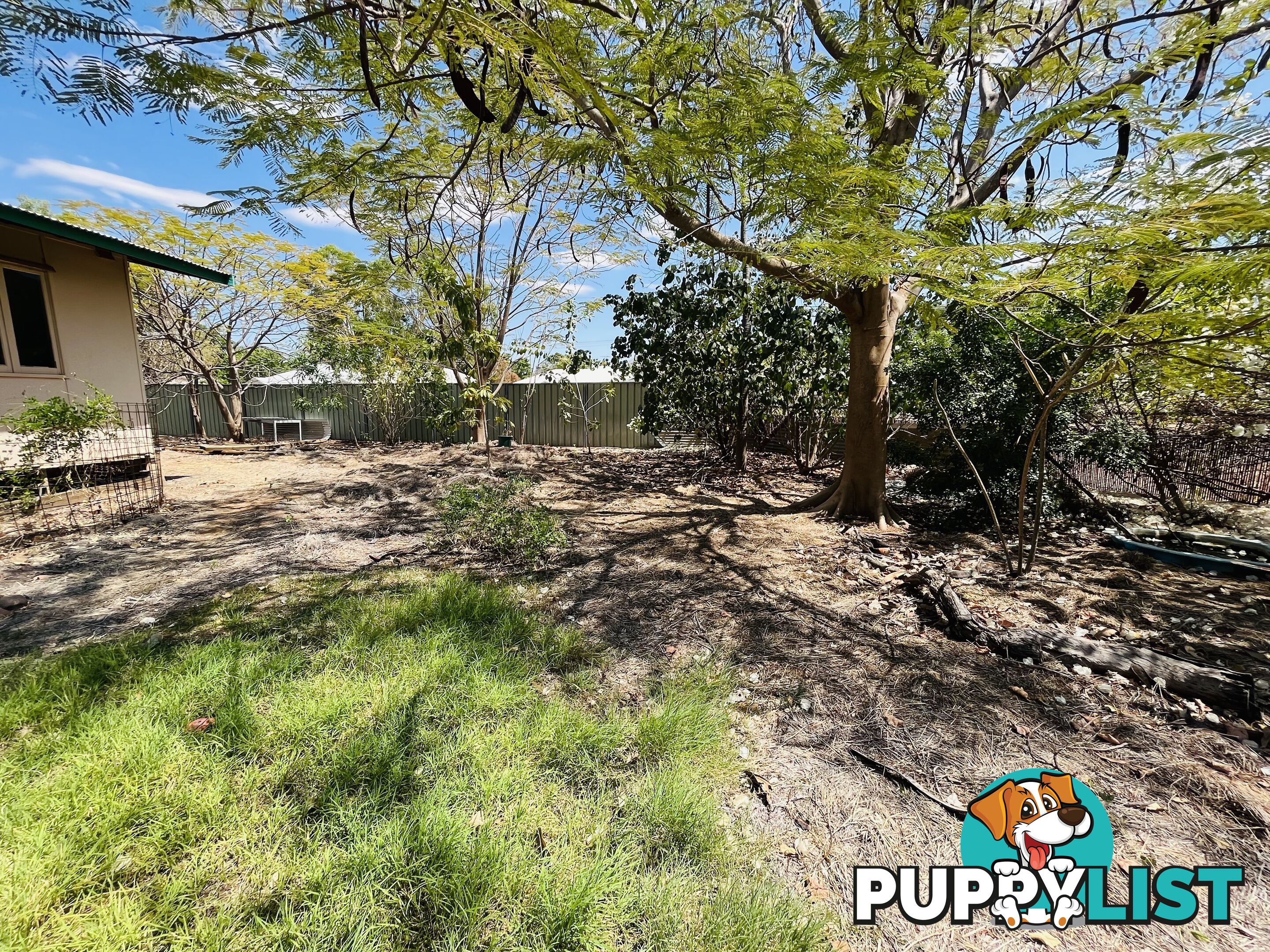 31 Nutwood Cres Kununurra WA 6743