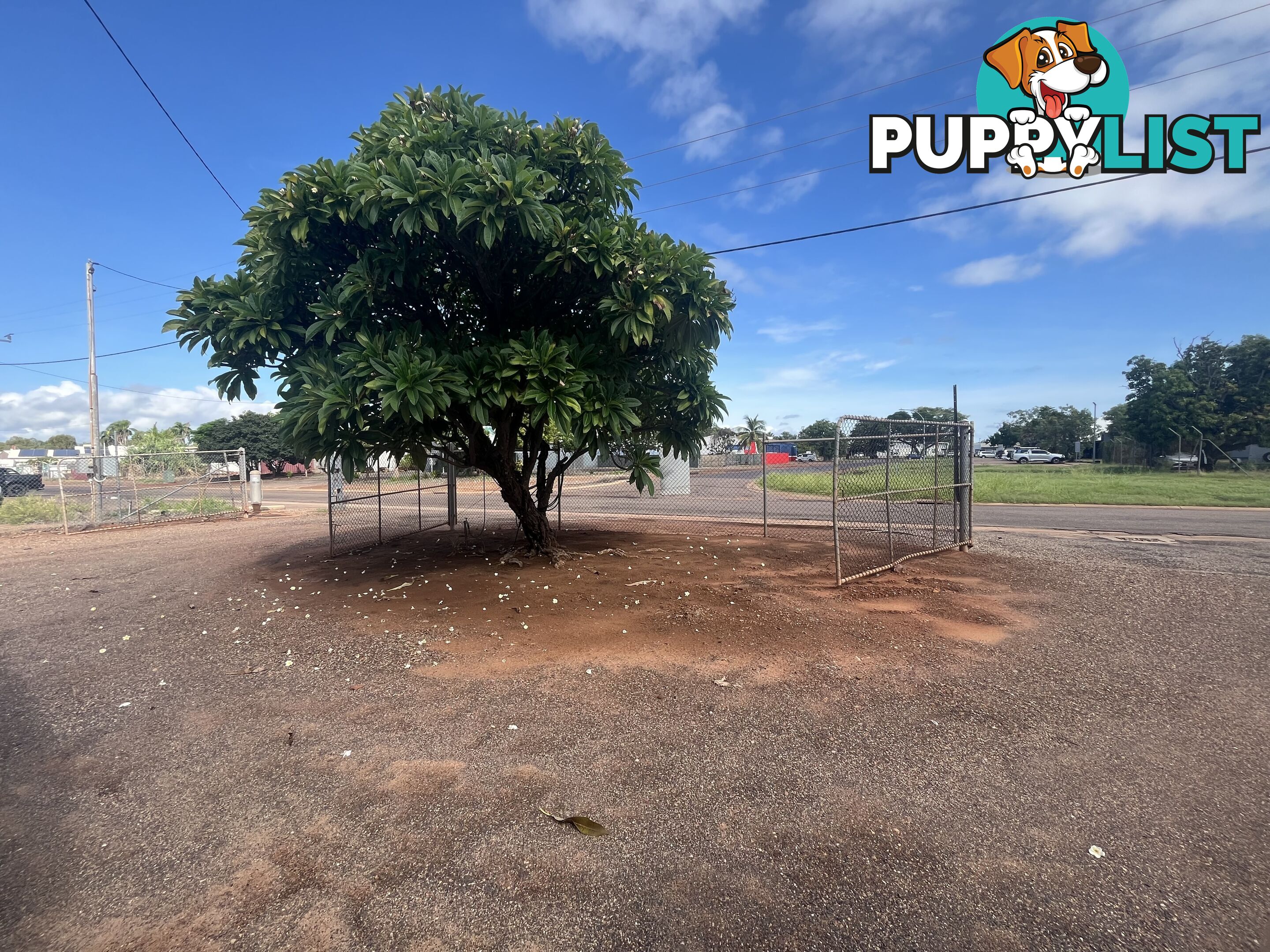 12 Konkerberry Dr Kununurra WA 6743