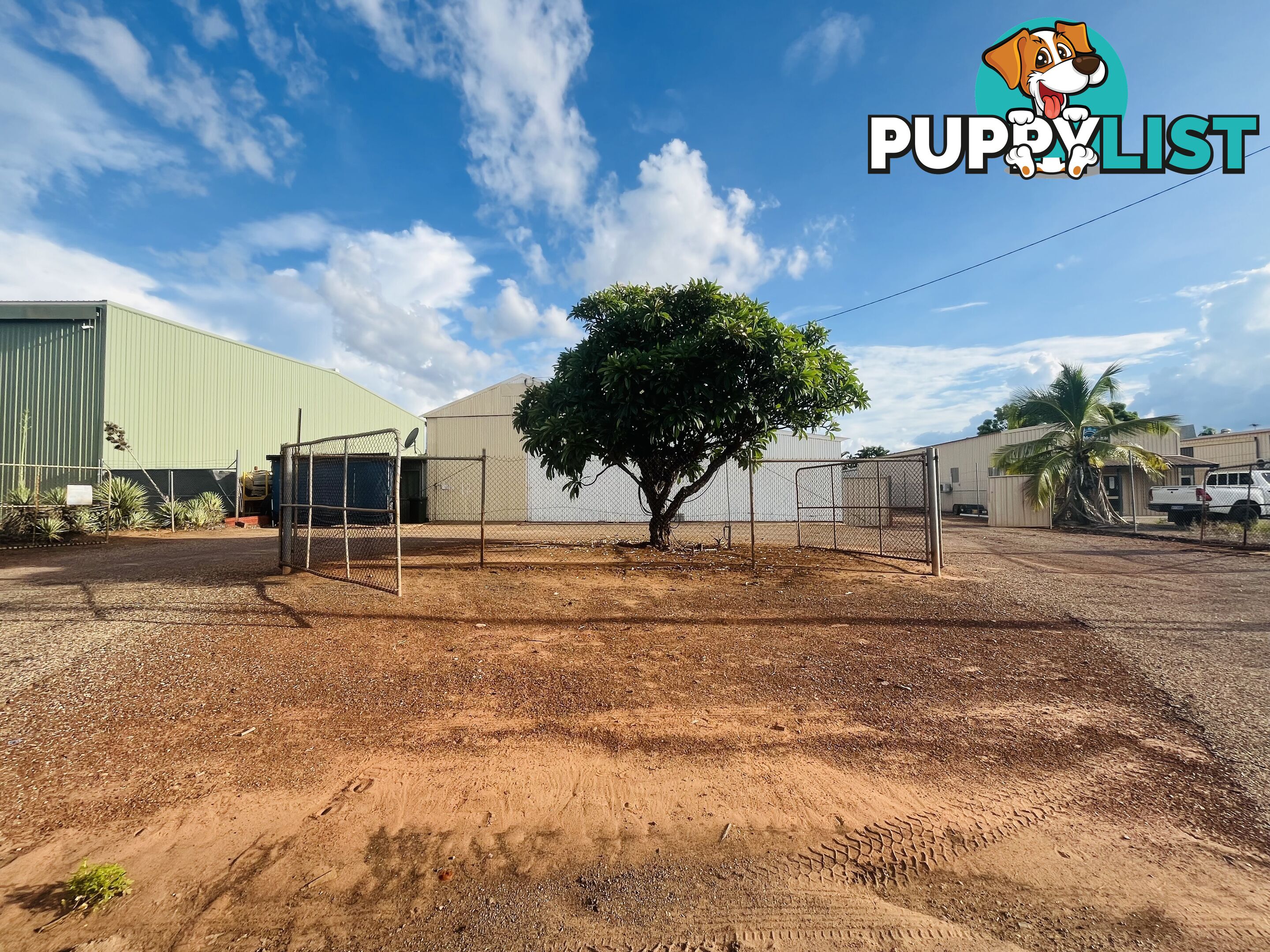 12 Konkerberry Dr Kununurra WA 6743