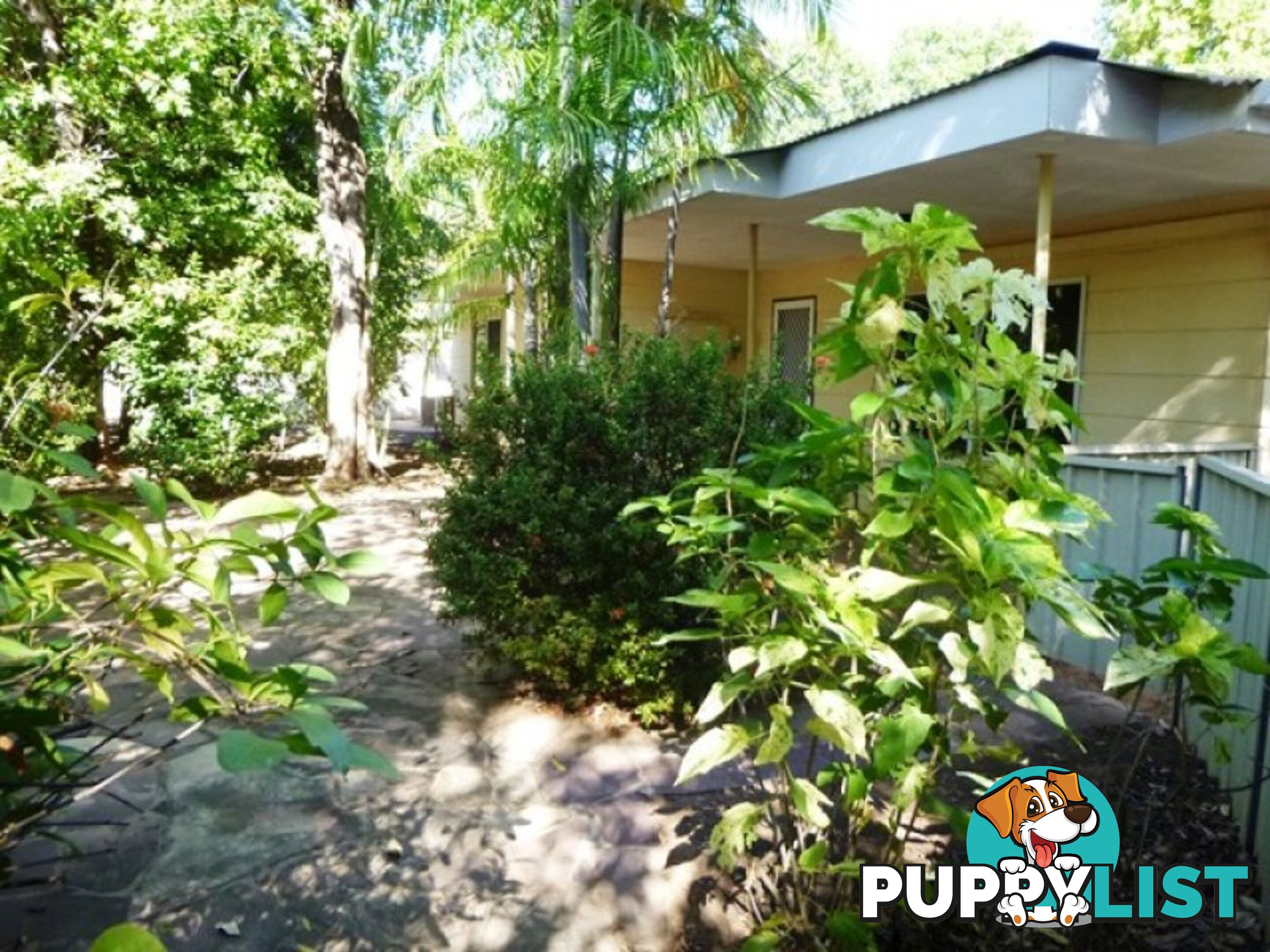 7 Cajuput Street Kununurra WA 6743