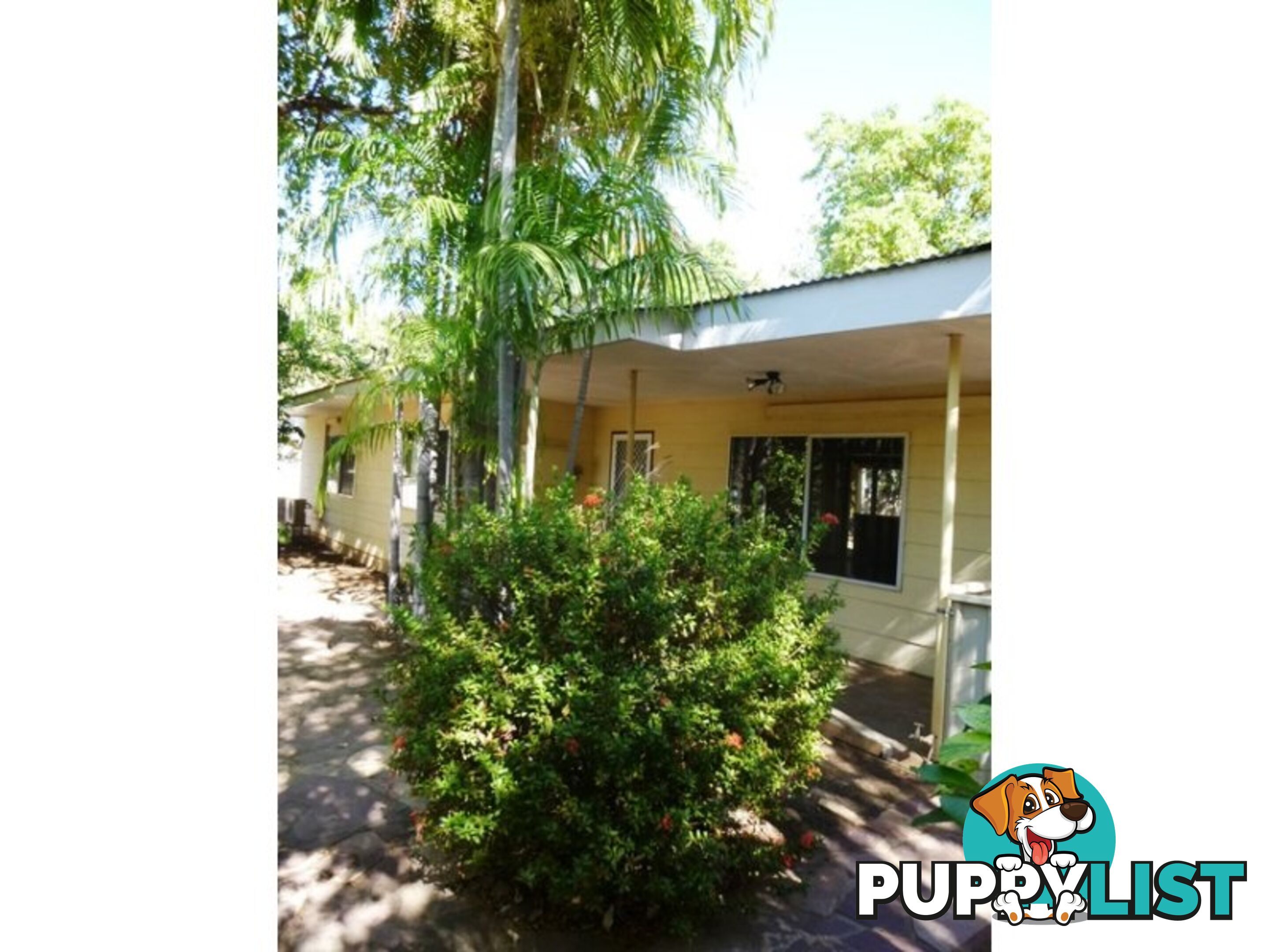 7 Cajuput Street Kununurra WA 6743