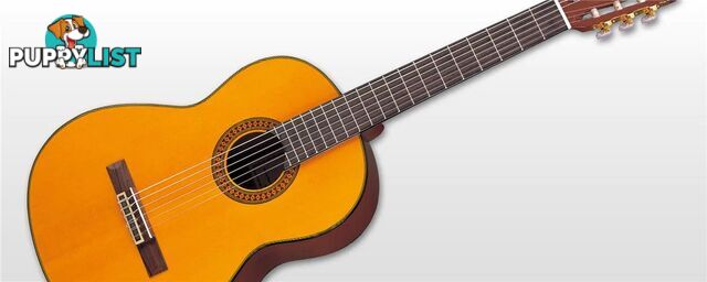 Yamaha C40 Gigmaker Guitar Pack Academy C Series Classical Acoustic