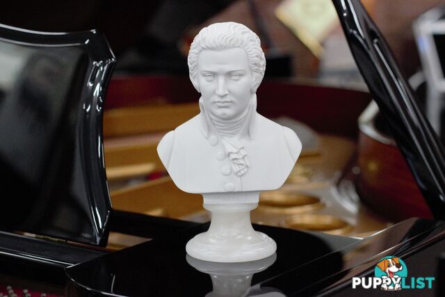 Mozart Bust - 22cm