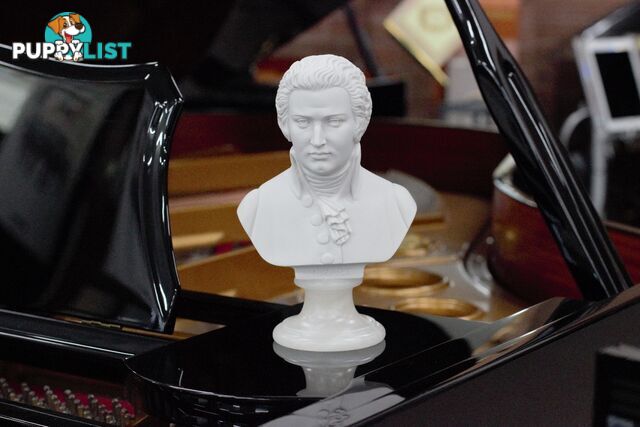 Mozart Bust - 22cm