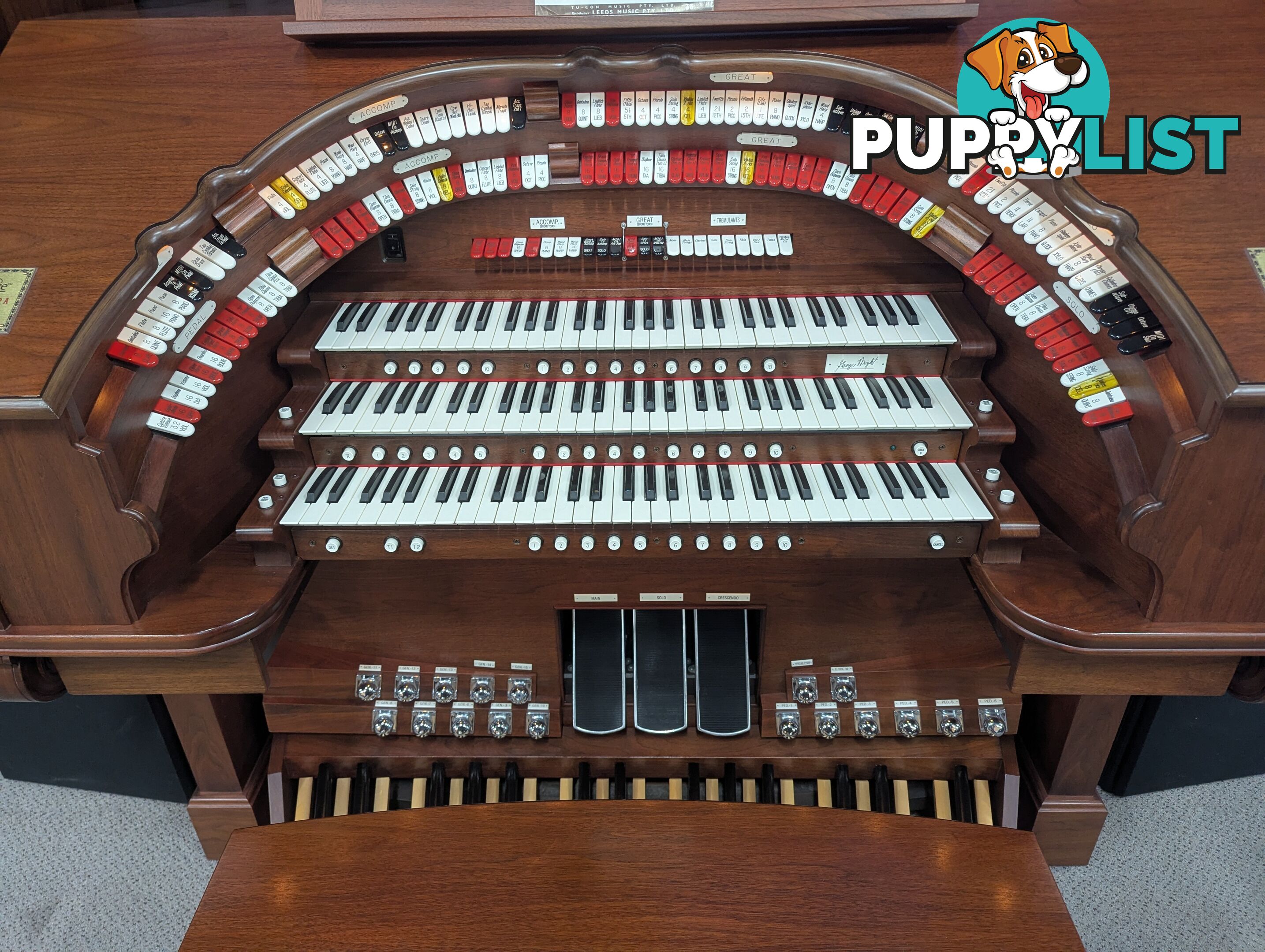 Allen Renaissance George Wright GW-319 EX 3-Manual Theatre Organ