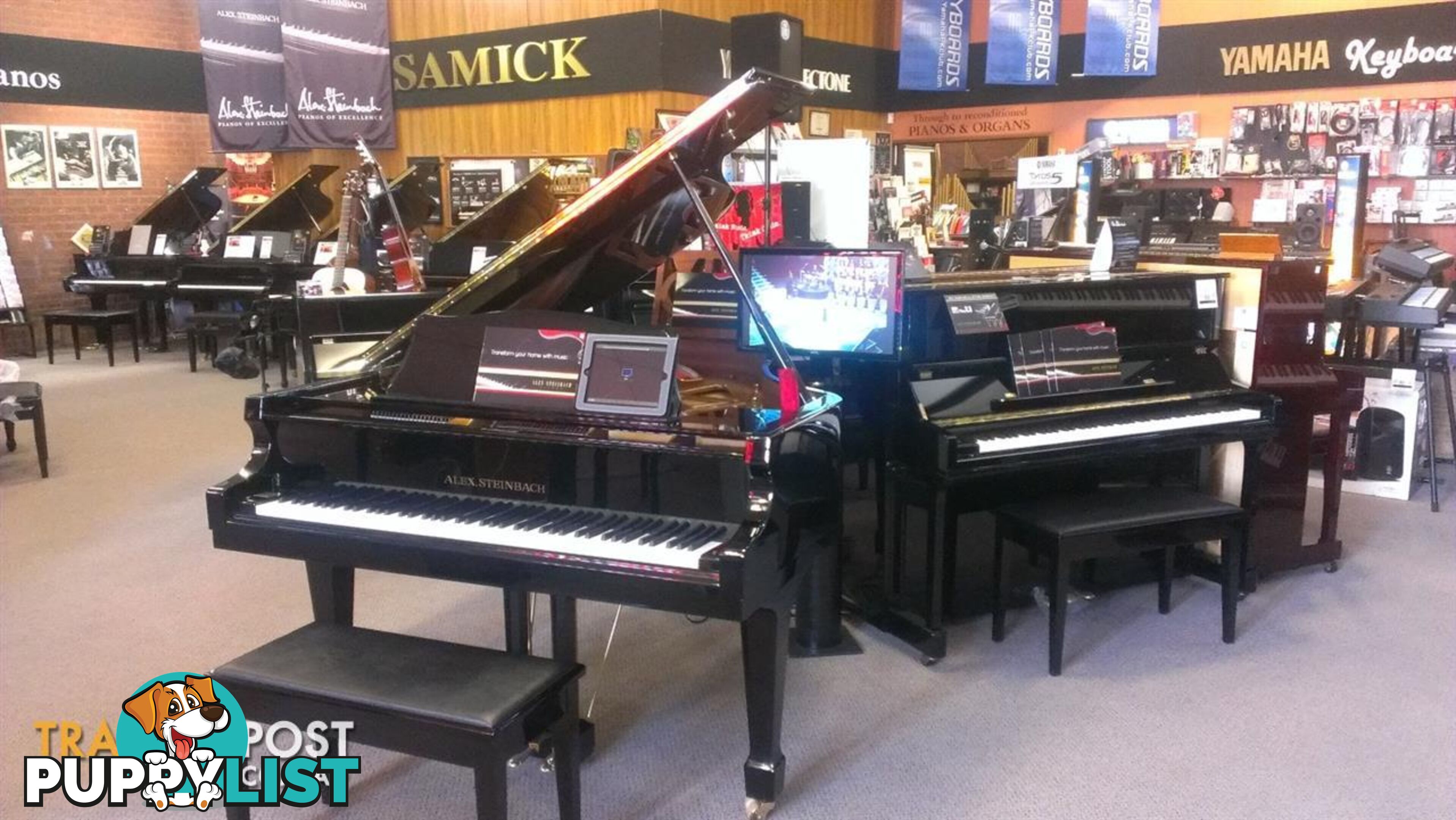 Alex.Steinbach Regal II  AS175D  iQ Grand Piano