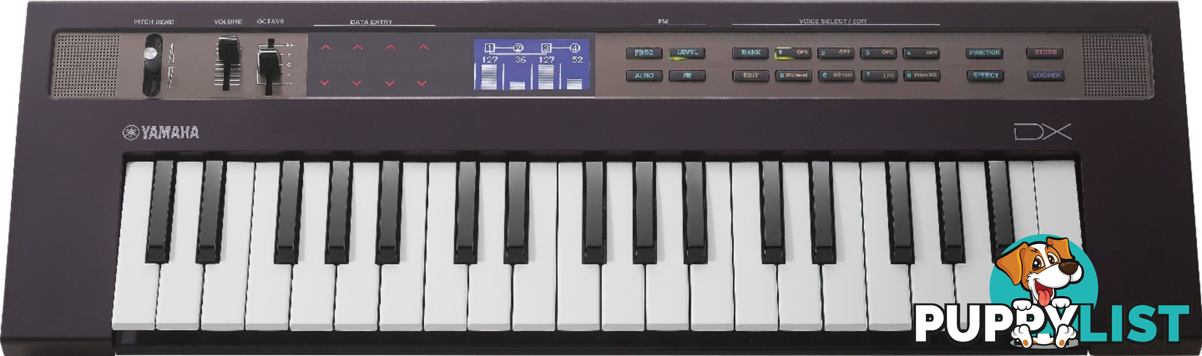 Yamaha reface DX FM synthesizer