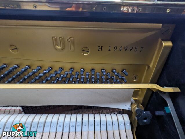 Yamaha U1H Polished Ebony Upright Piano in Excellent Condition