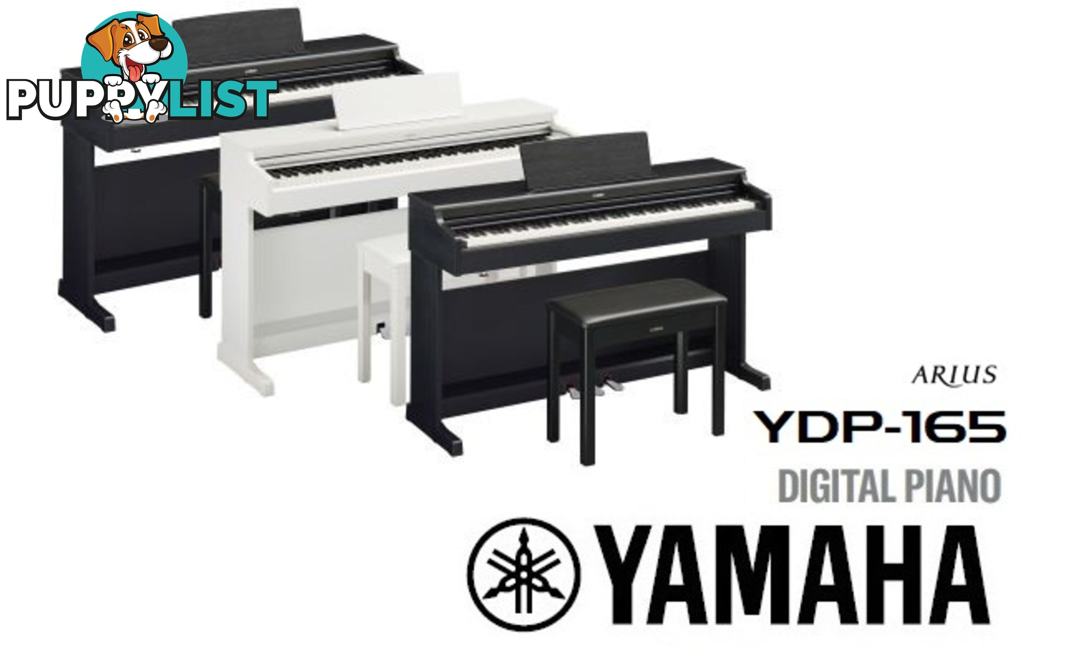 Yamaha Arius Digital Piano YDP165 Dark Rosewood