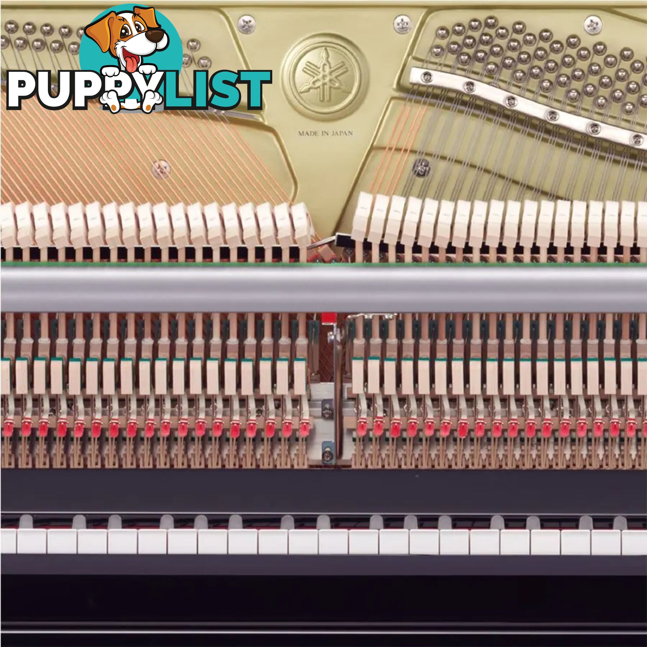   Yamaha Upright Piano U1J PE 