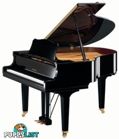  Yamaha Baby Grand Piano GC1M Ebony Polished 