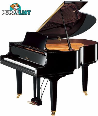  Yamaha Baby Grand Piano GC1M Ebony Polished 