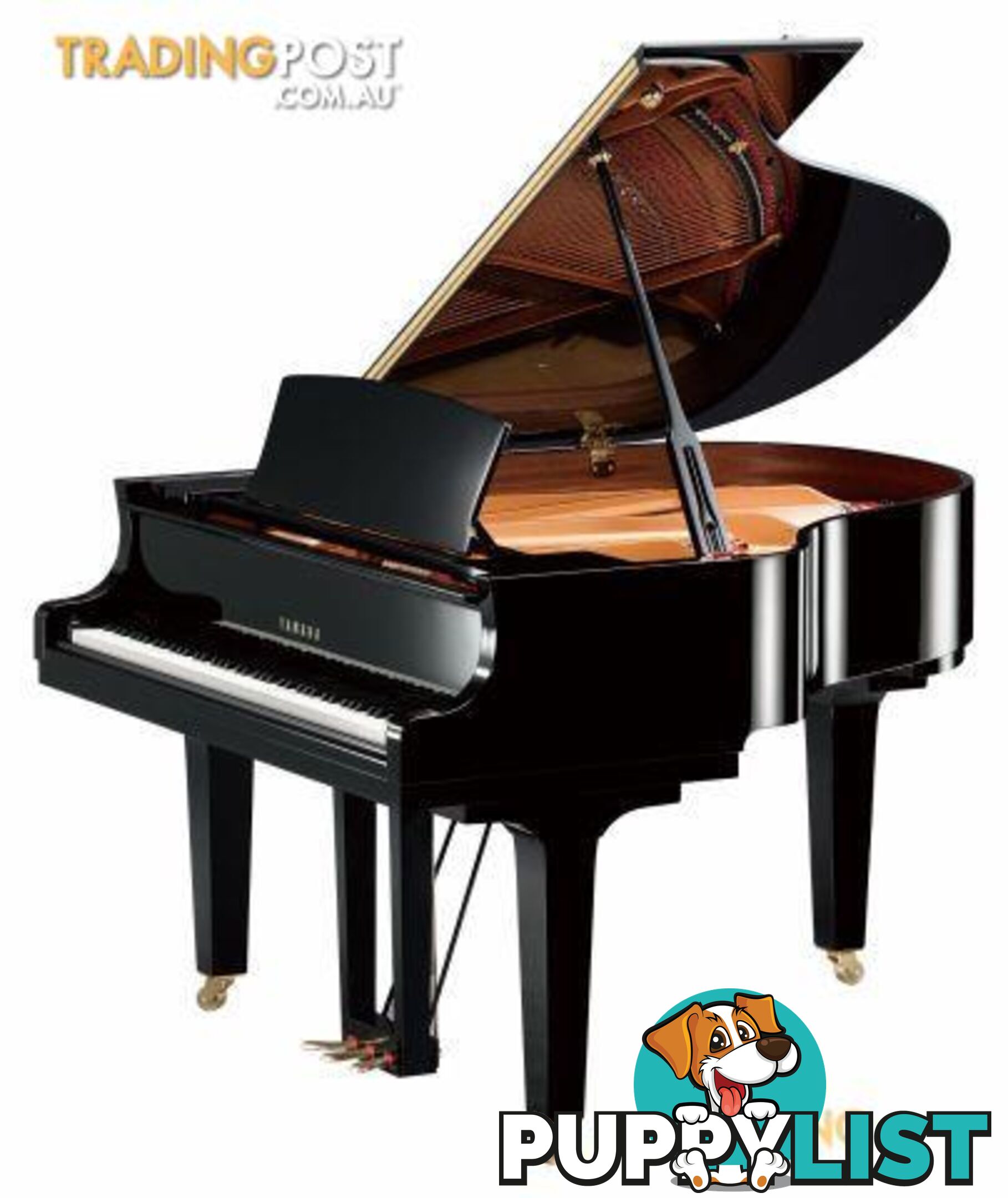 Yamaha  C1  Grand Piano CX Series 