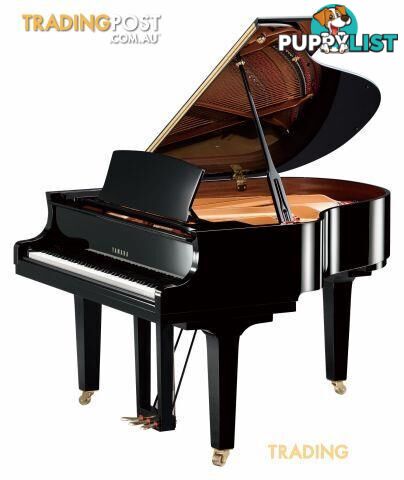 Yamaha  C1  Grand Piano CX Series 