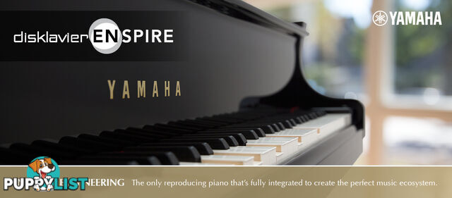 Yamaha  C1  Grand Piano CX Series 