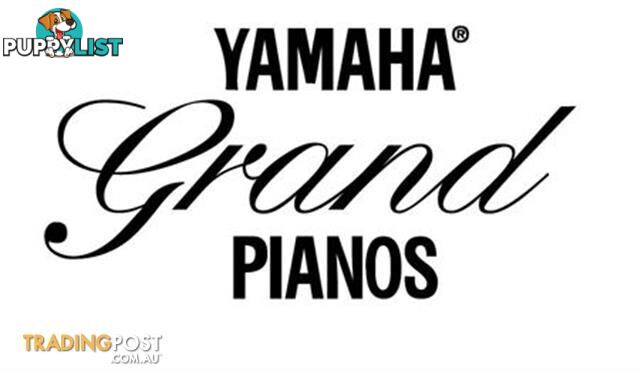 Yamaha  C1  Grand Piano CX Series 