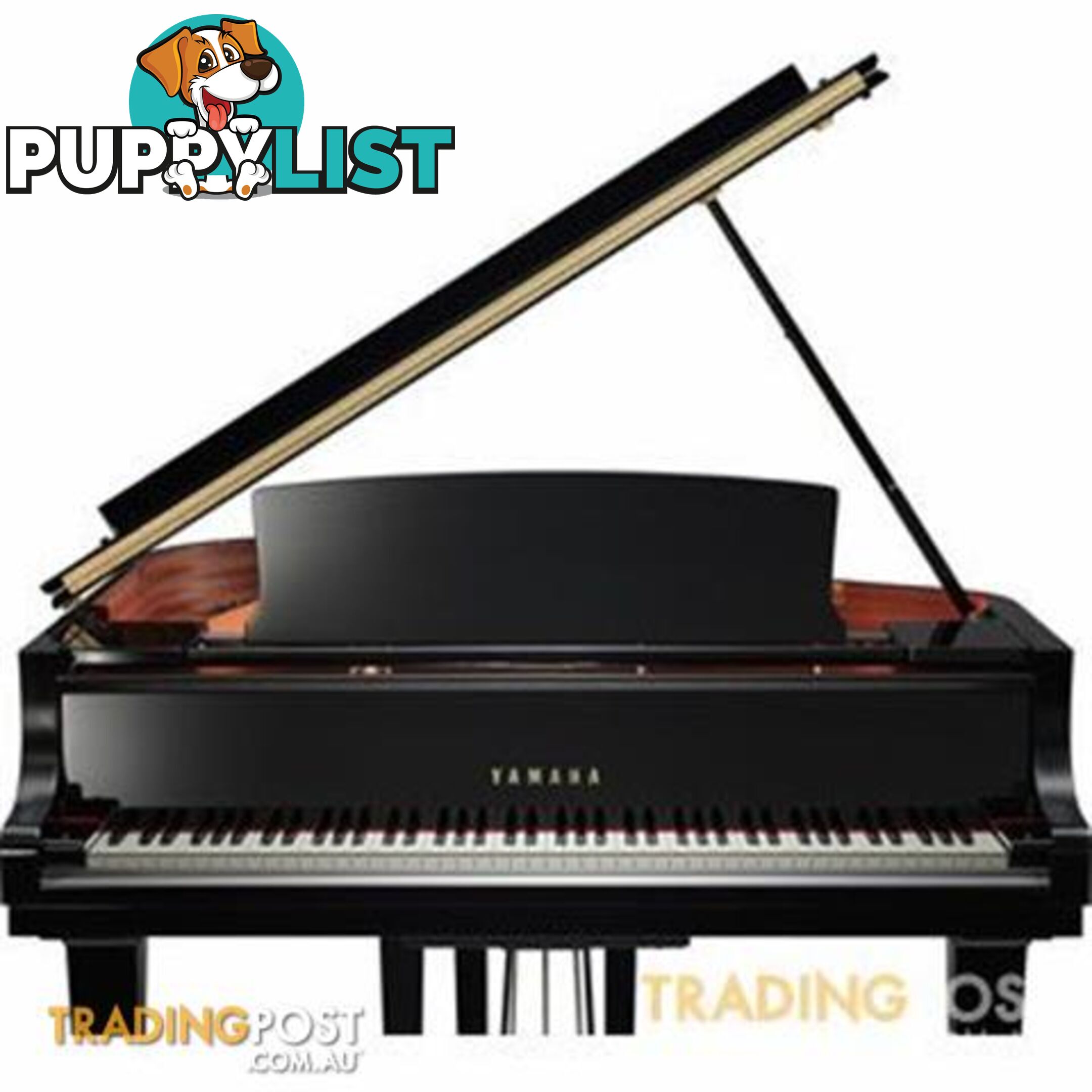 Yamaha  C1  Grand Piano CX Series 