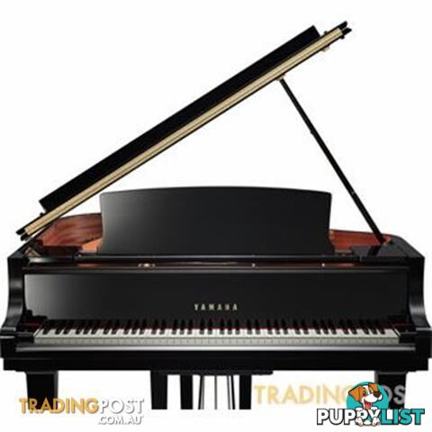 Yamaha  C1  Grand Piano CX Series 