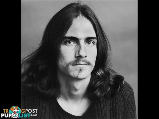 James Taylor: Greatest Hits