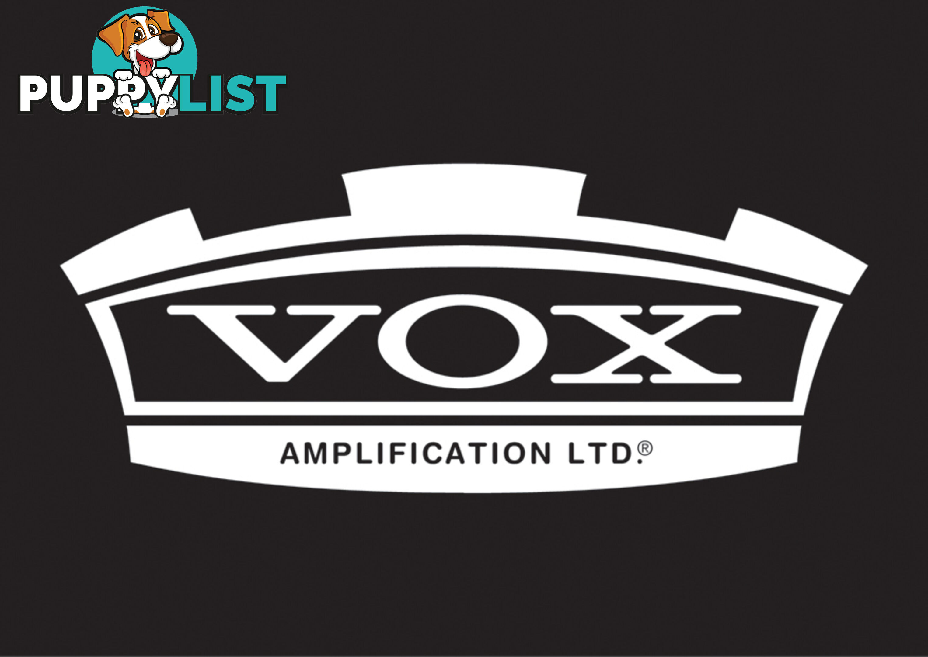 Acoustic Guitar AMP by VOX ~ VX50AG