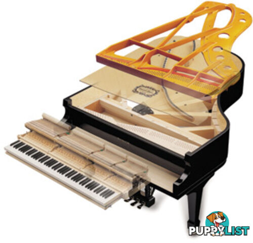 186cm Samick Grand Piano Ebony Polished NSG186