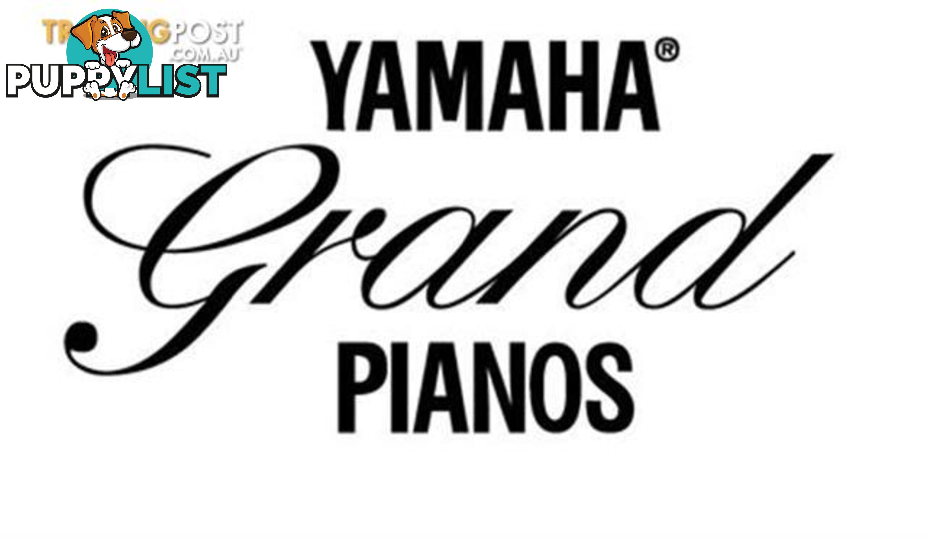 Yamaha C5 Grand Piano CX Series