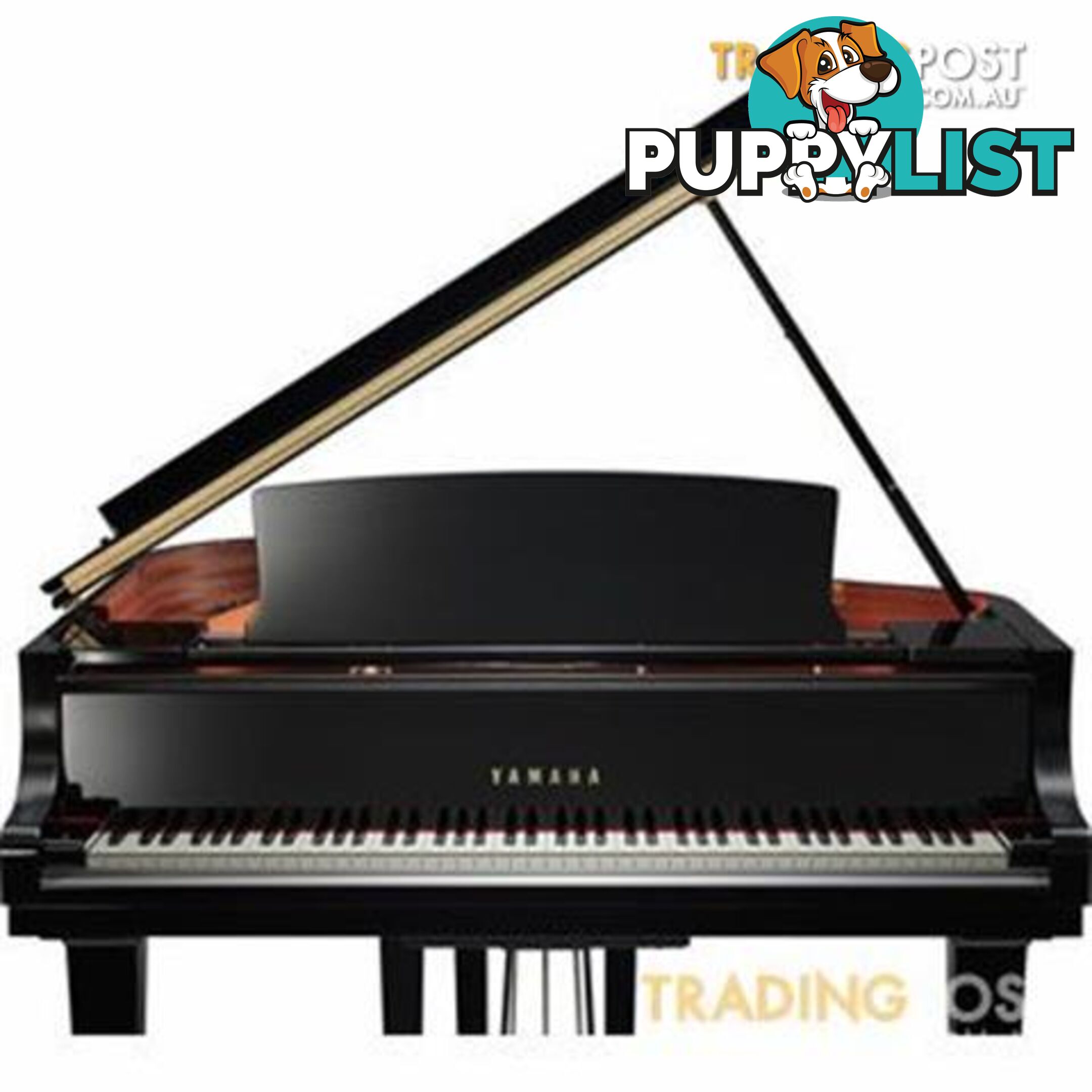 Yamaha C5 Grand Piano CX Series