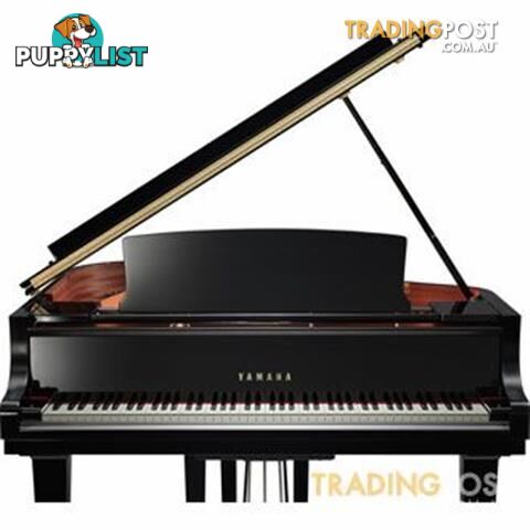 Yamaha C5 Grand Piano CX Series