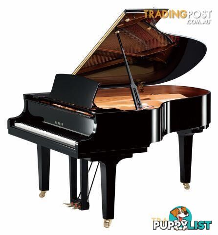 Yamaha C5 Grand Piano CX Series