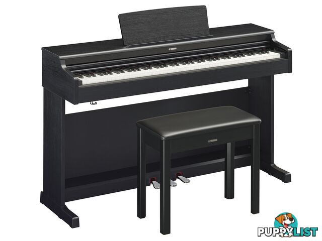 Yamaha Arius Digital Piano YDP165 Black Walnut