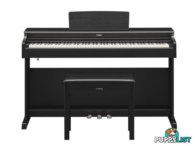 Yamaha Arius Digital Piano YDP165 Black Walnut