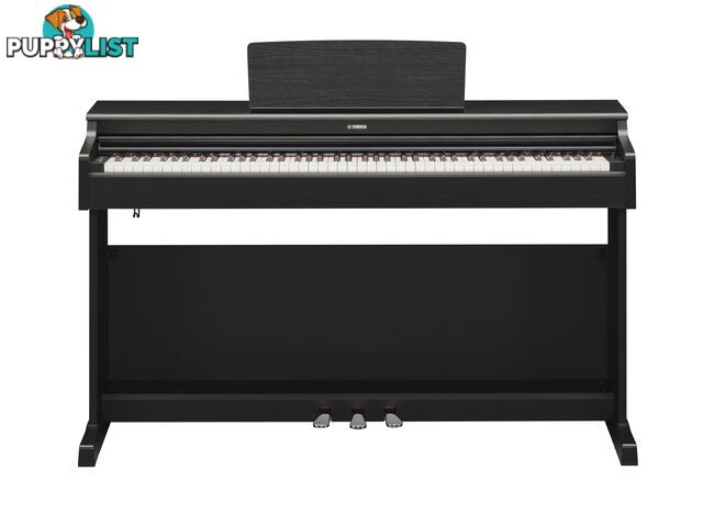 Yamaha Arius Digital Piano YDP165 Black Walnut