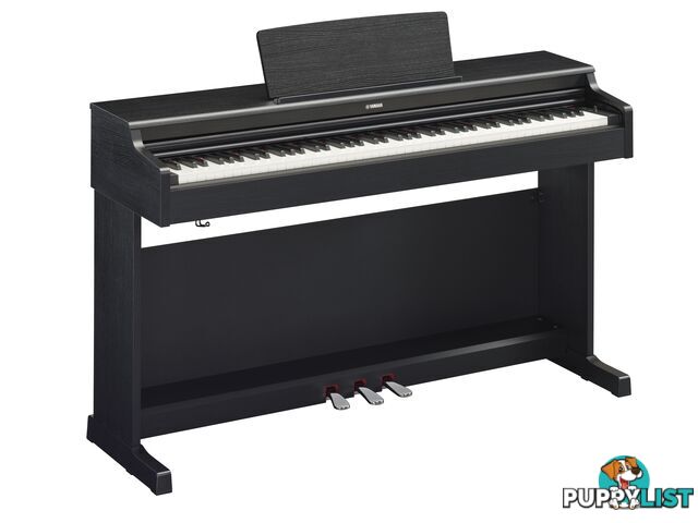 Yamaha Arius Digital Piano YDP165 Black Walnut