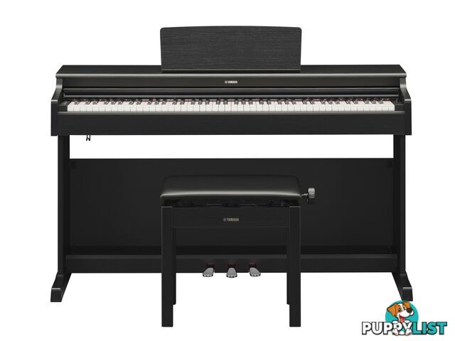 Yamaha Arius Digital Piano YDP165 Black Walnut