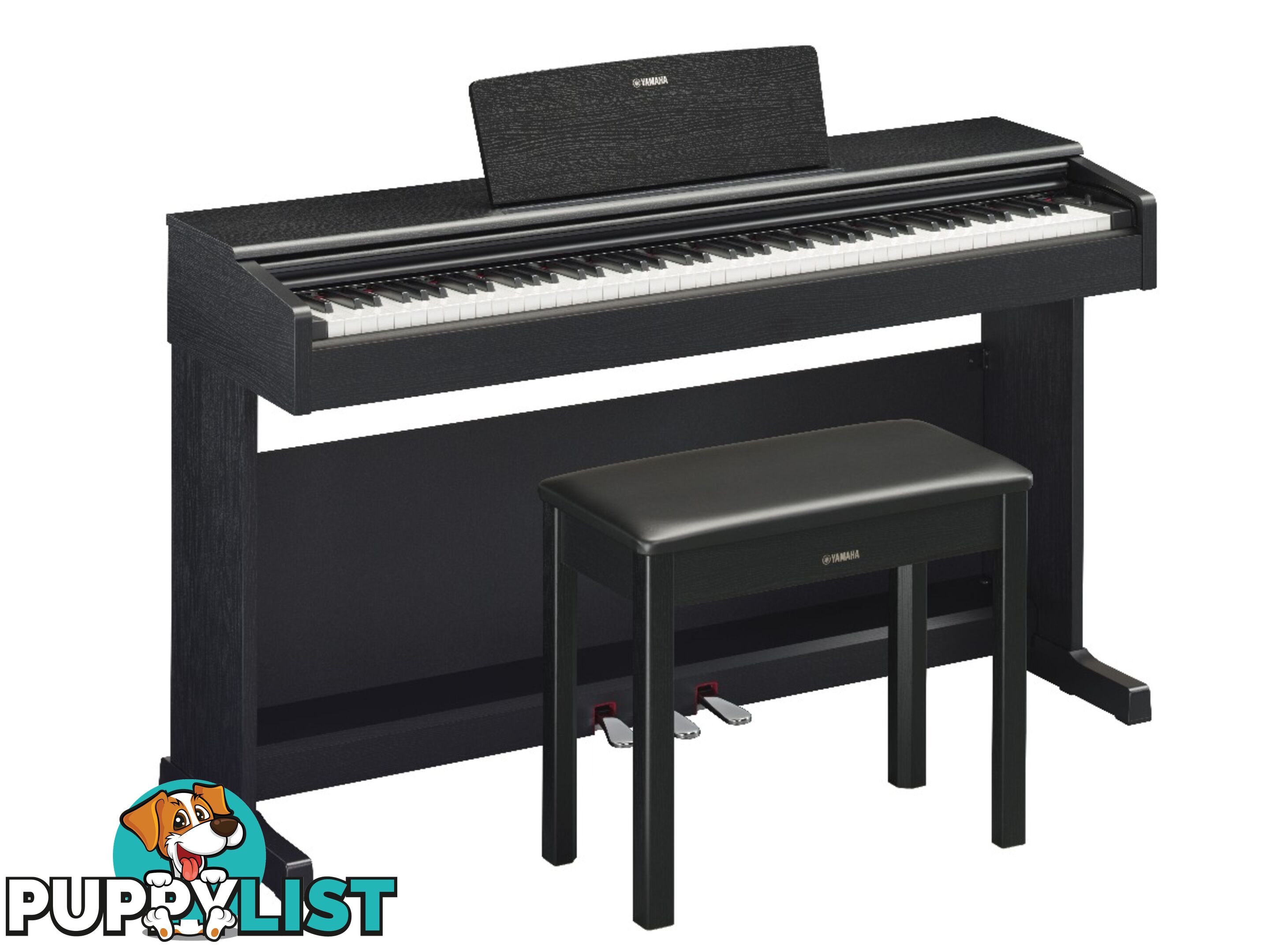 Yamaha Arius Digital Piano YDP145 Black Walnut