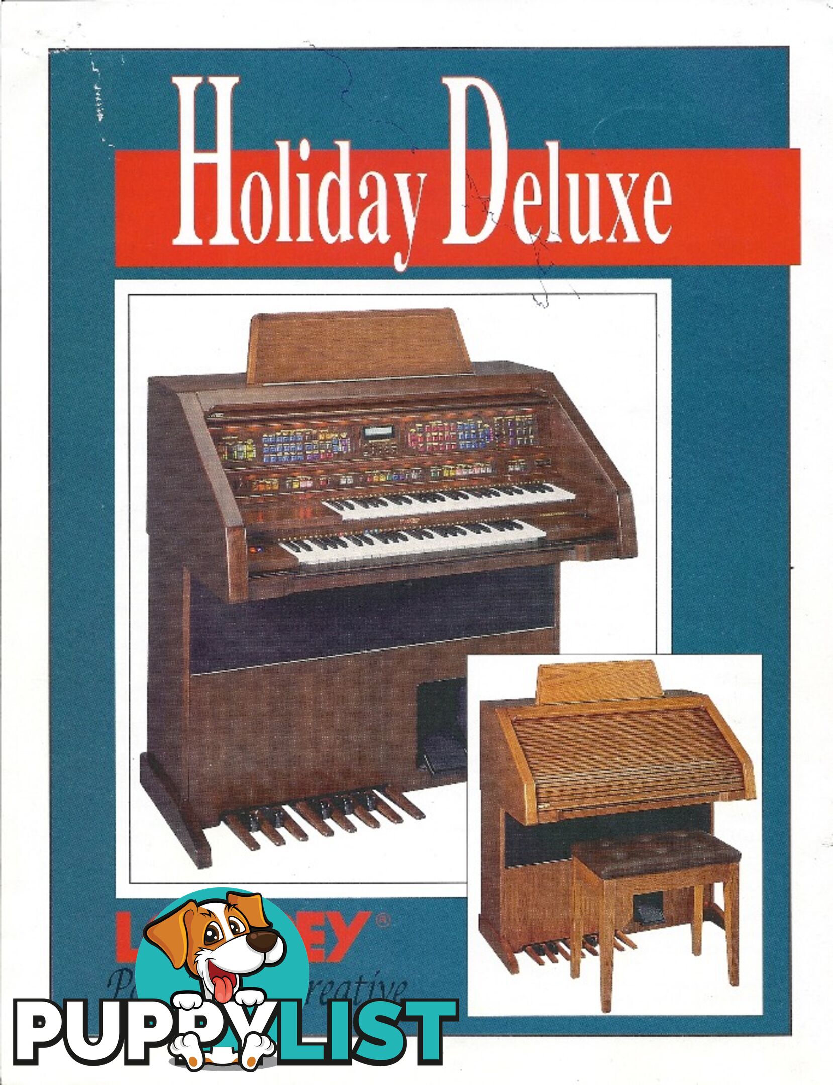 Lowrey Holiday Deluxe Organ LX300 ~ Sold