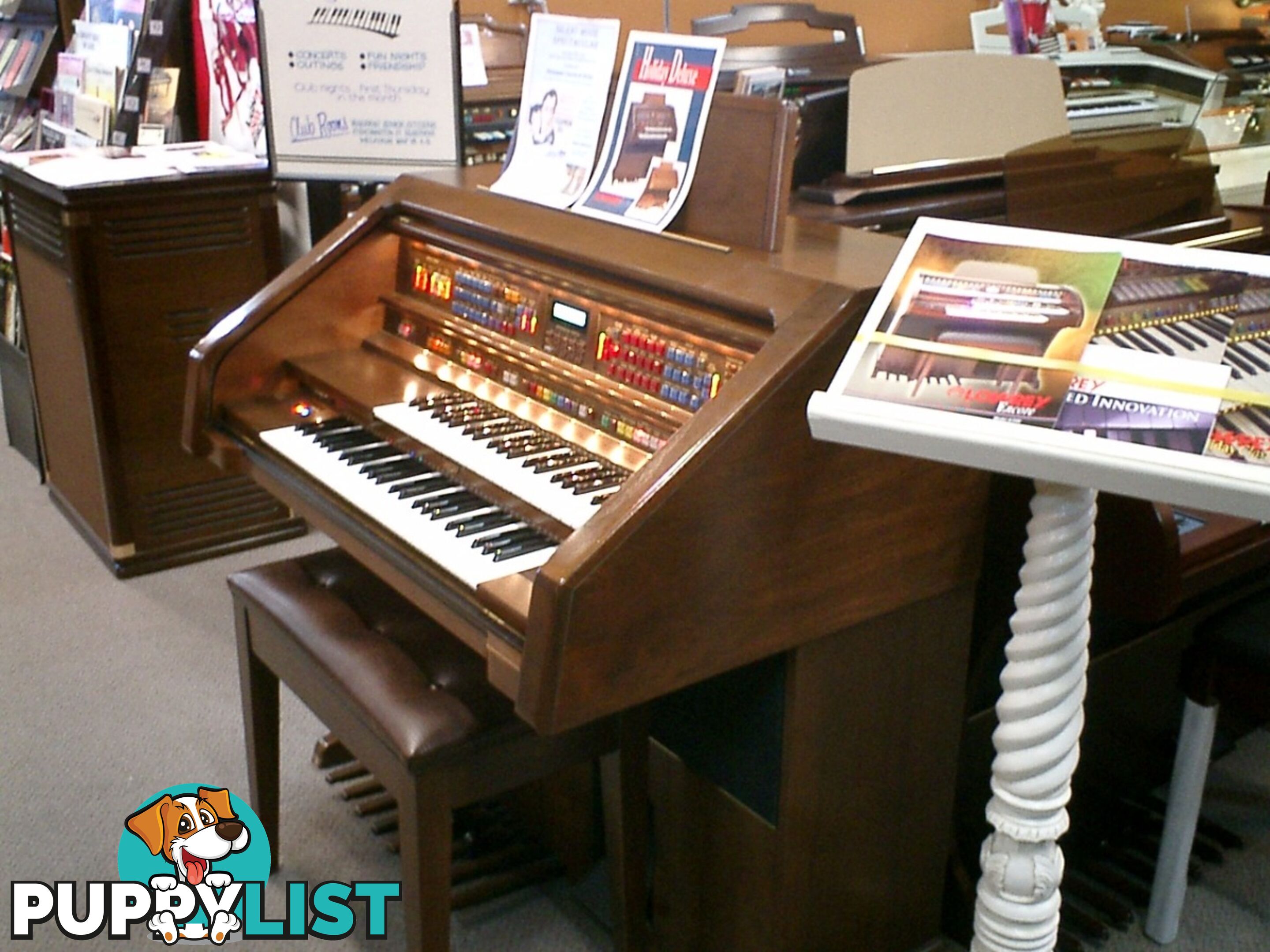 Lowrey Holiday Deluxe Organ LX300 ~ Sold