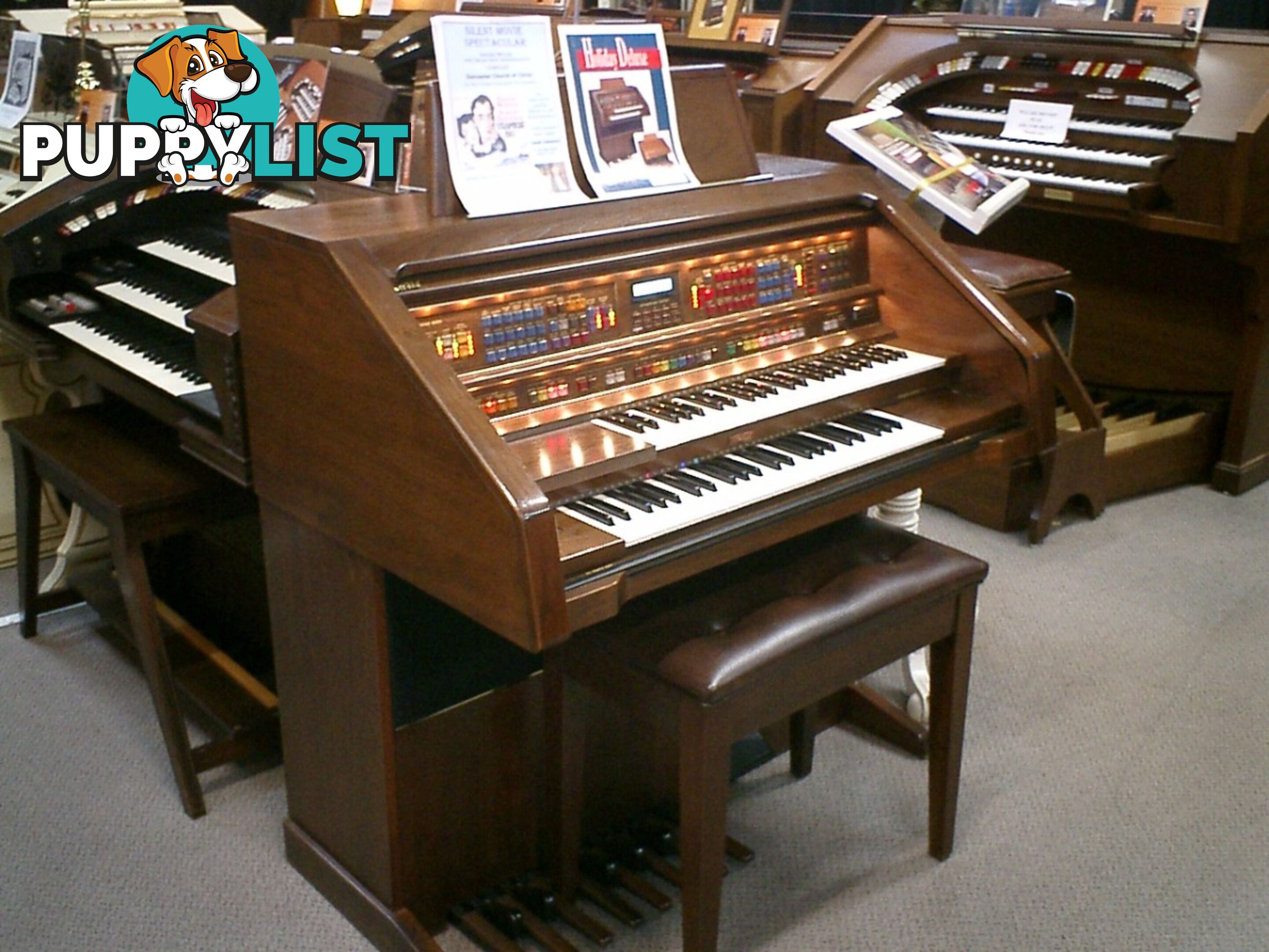 Lowrey Holiday Deluxe Organ LX300 ~ Sold