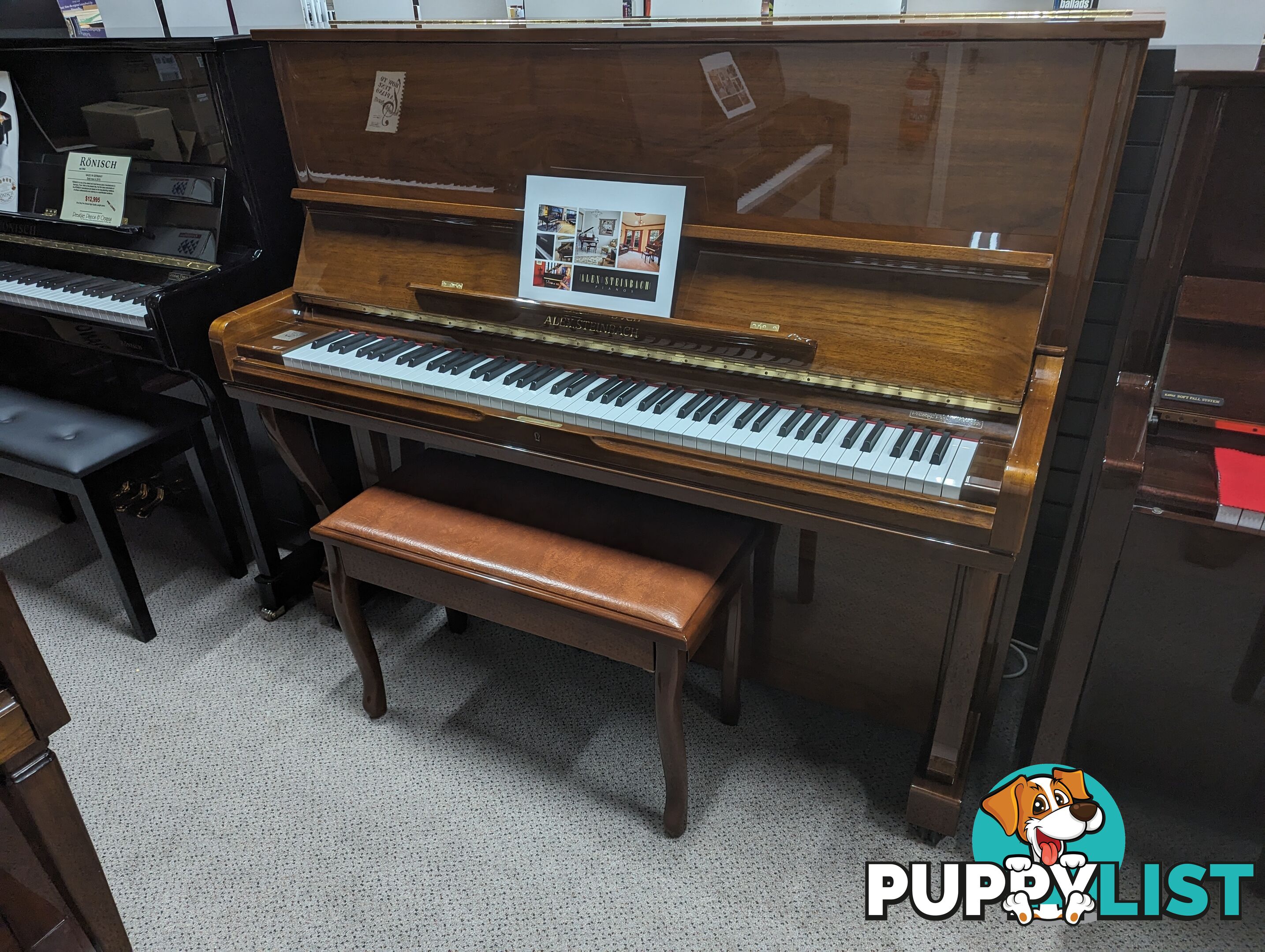 Alex Steinbach Professional,127cm Upright Piano in Walnut Polished ( 1998 Ser No #ISD00574)