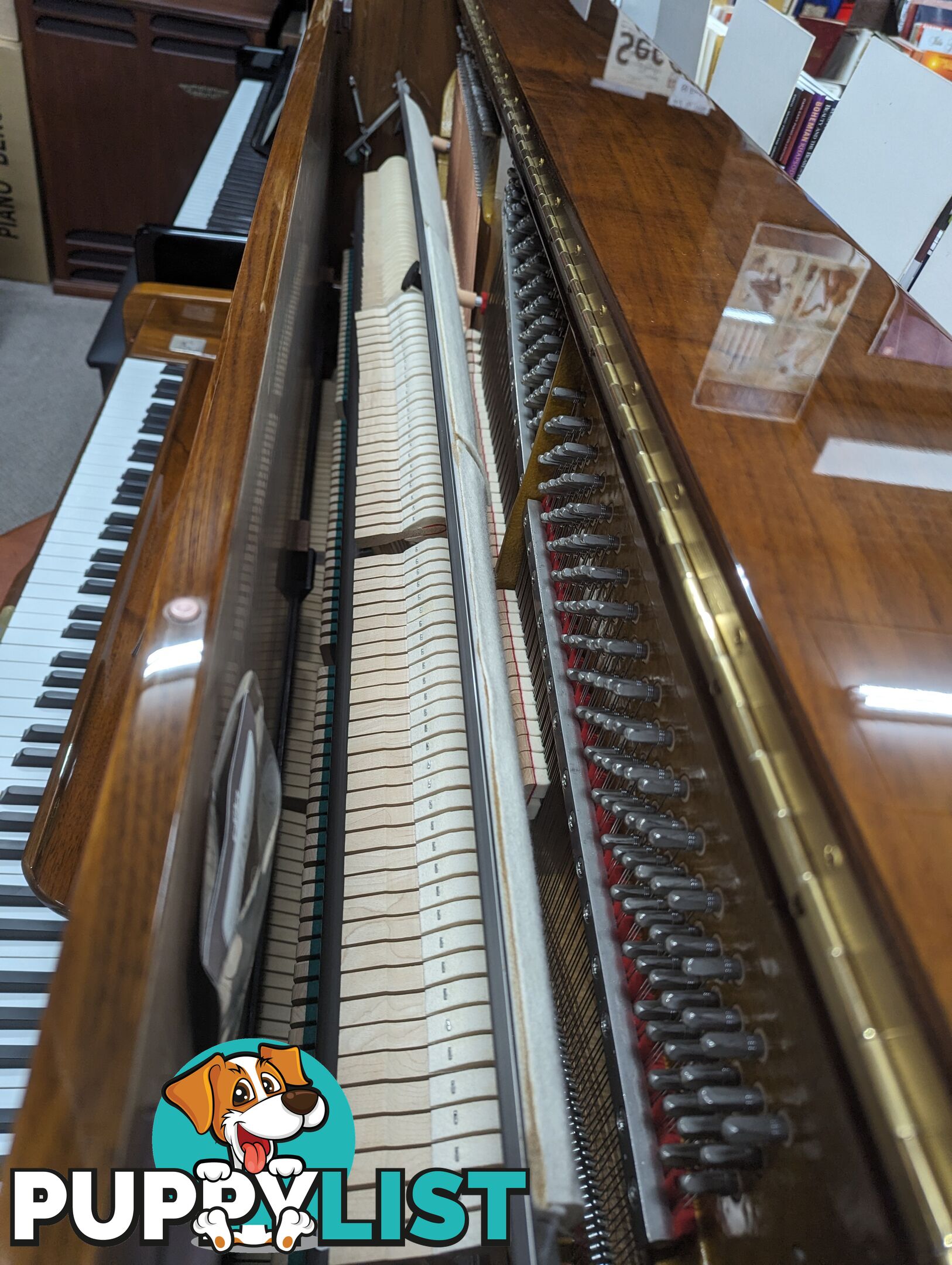 Alex Steinbach Professional,127cm Upright Piano in Walnut Polished ( 1998 Ser No #ISD00574)