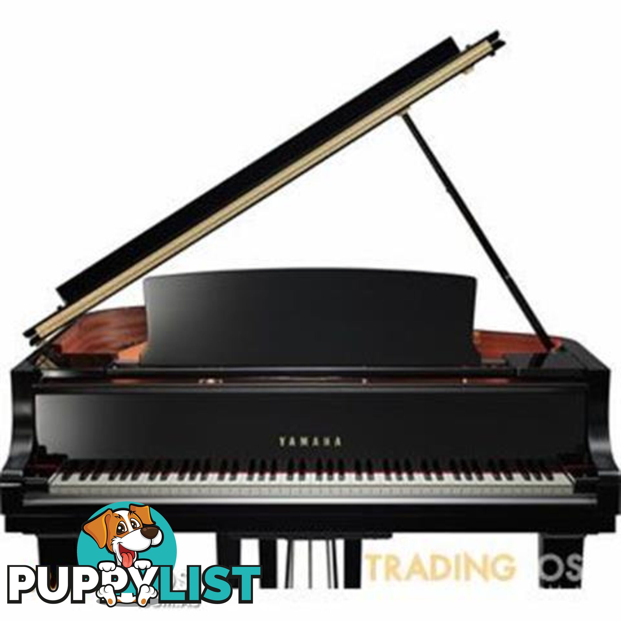 Yamaha C2 Grand Piano CX Series