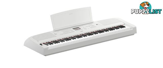 Yamaha Digital Piano DGX670 