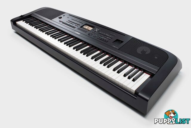 Yamaha Digital Piano DGX670 