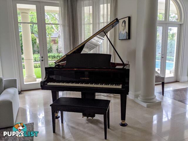 Yamaha Disklavier Enspire Baby Grand Piano GC1M Ebony Polished