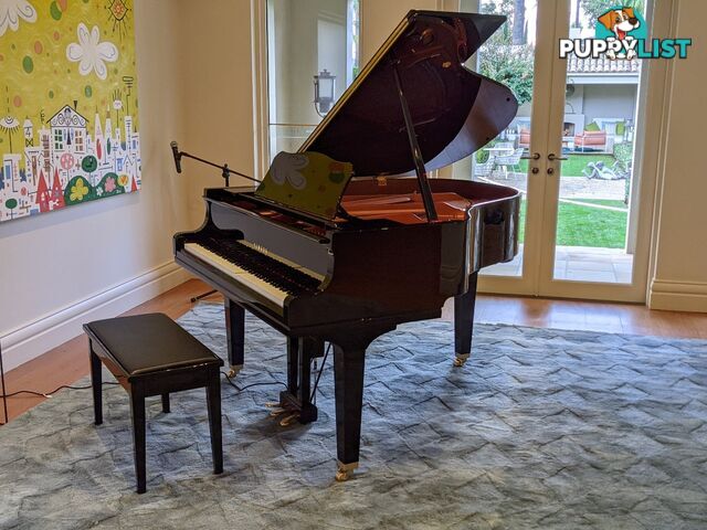 Yamaha Disklavier Enspire Baby Grand Piano GC1M Ebony Polished