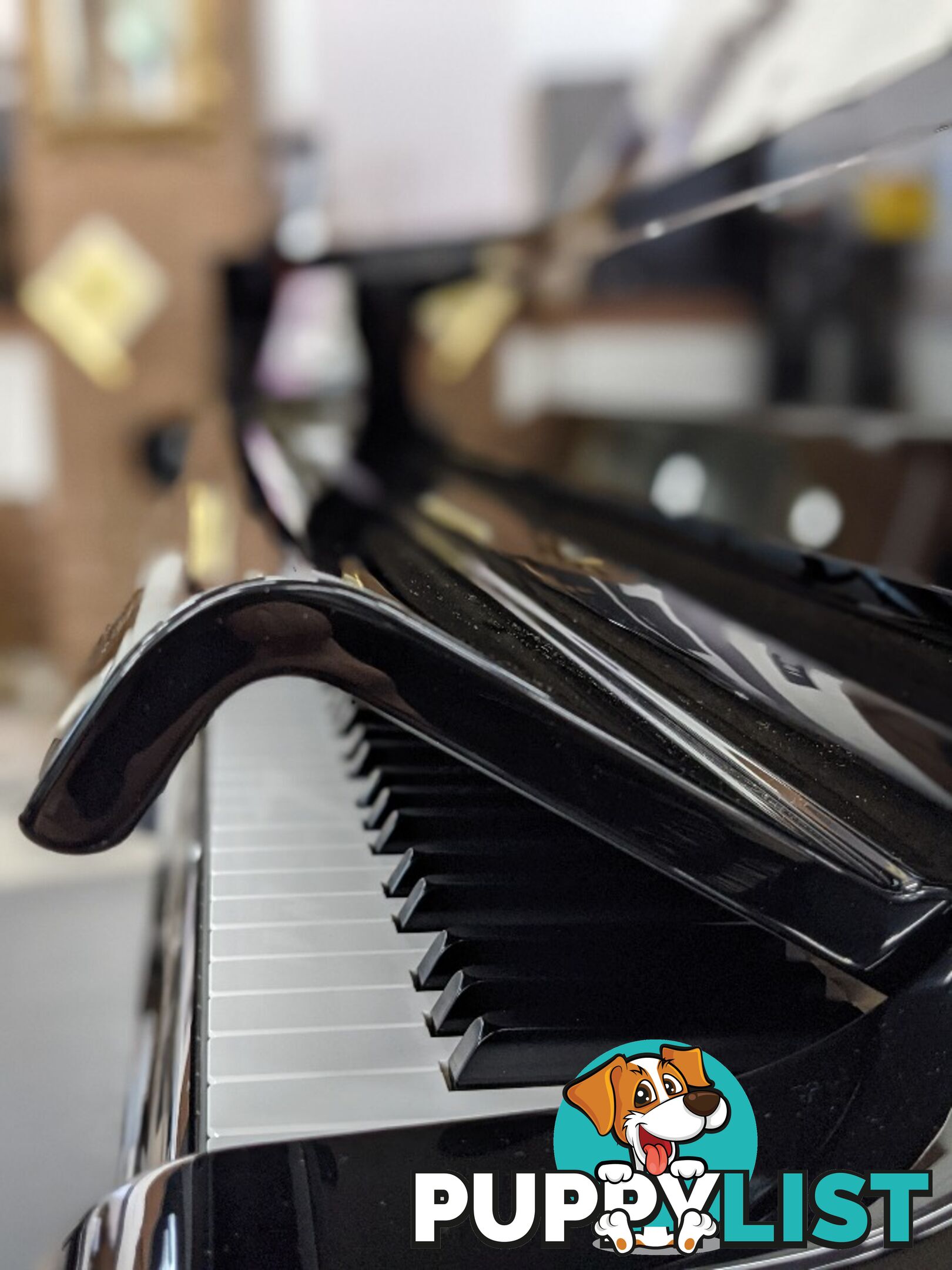 Yamaha Disklavier Enspire Baby Grand Piano GC1M Ebony Polished